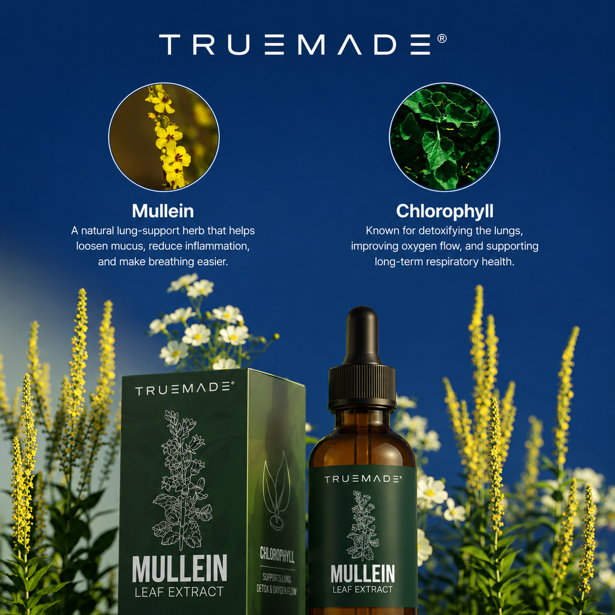 TRUEMADE™ Mullein + Chlorophyll Lung Drops